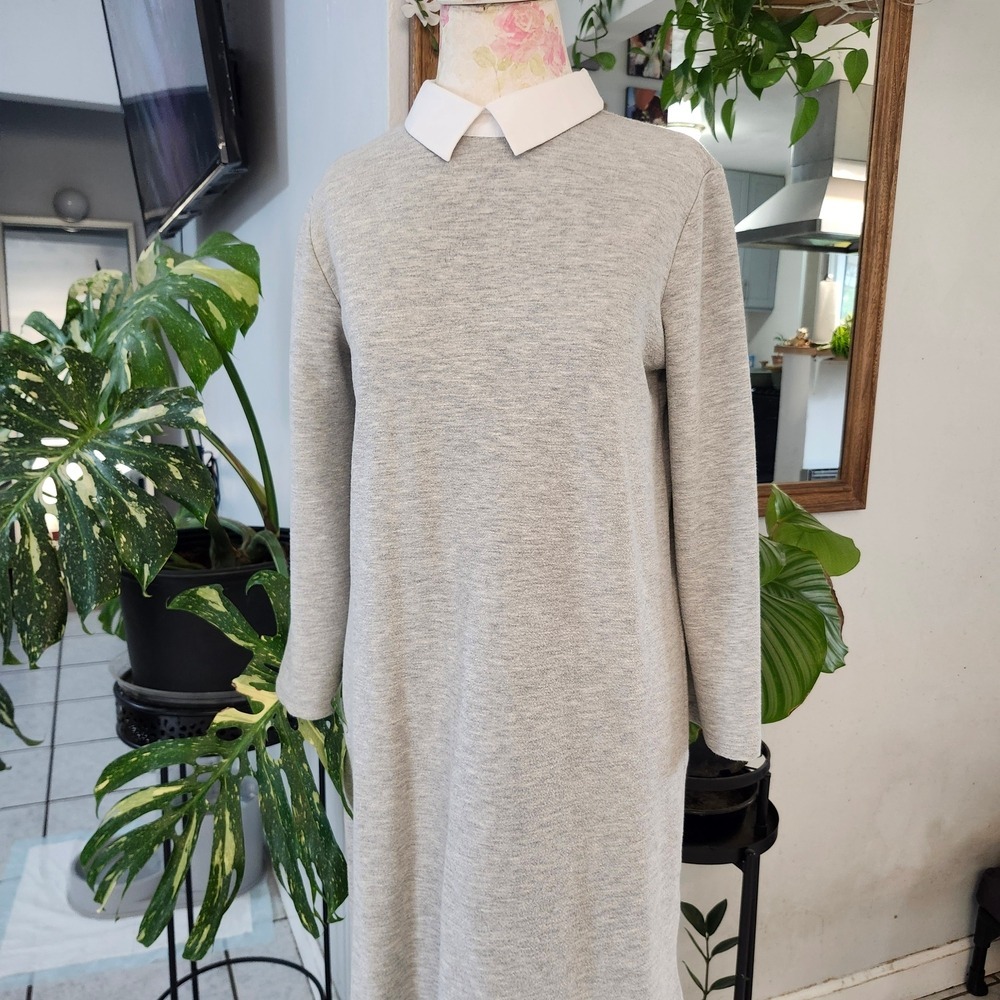 Zara Light Gray Midi Shift Dress with White Mock Collar - Picture 2 of 6